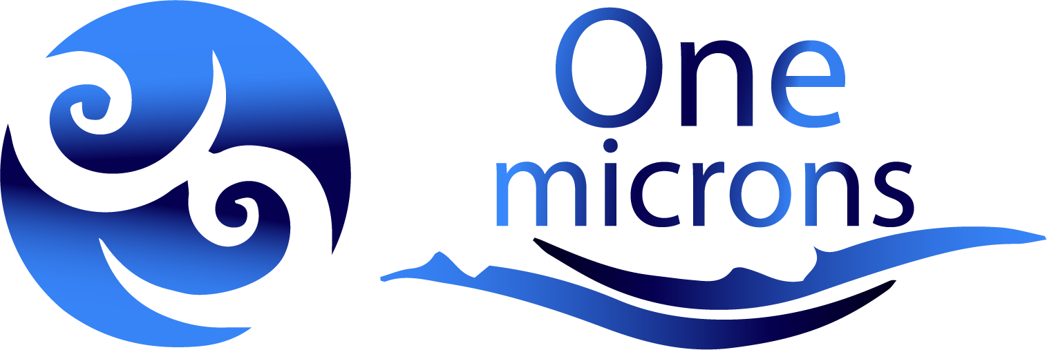 One Micron 1